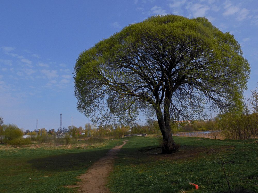 Photograph by Игорь Смирнов