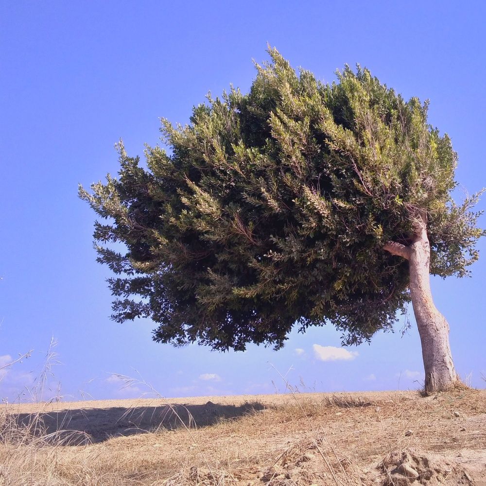 Photograph by Артем Великанов