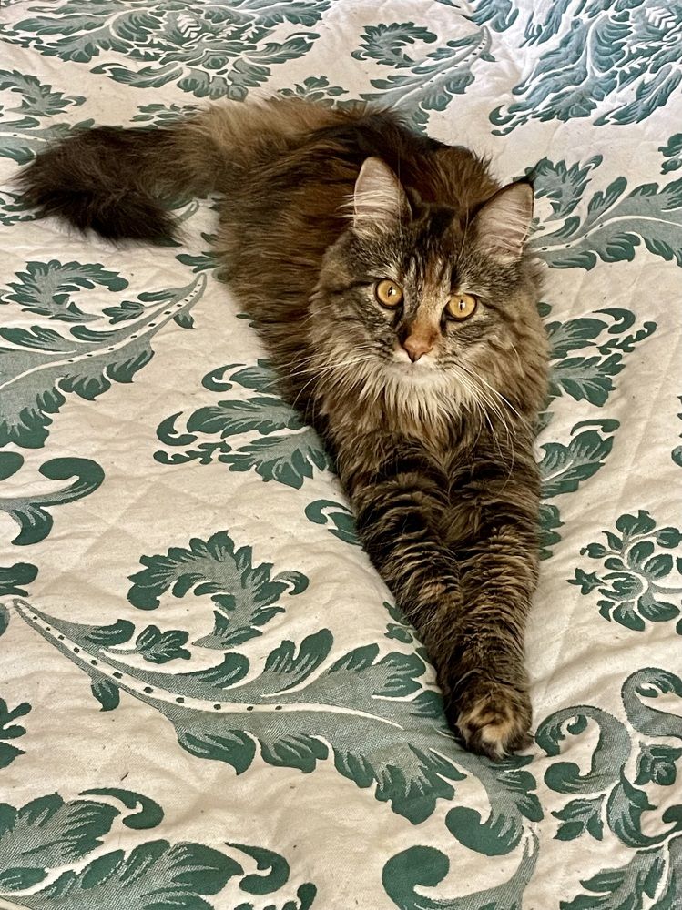 Photograph by Марина Белянских