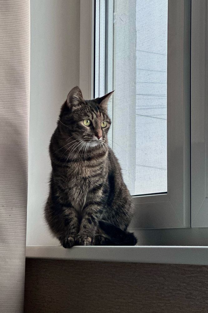 Photograph by Екатерина Червякова