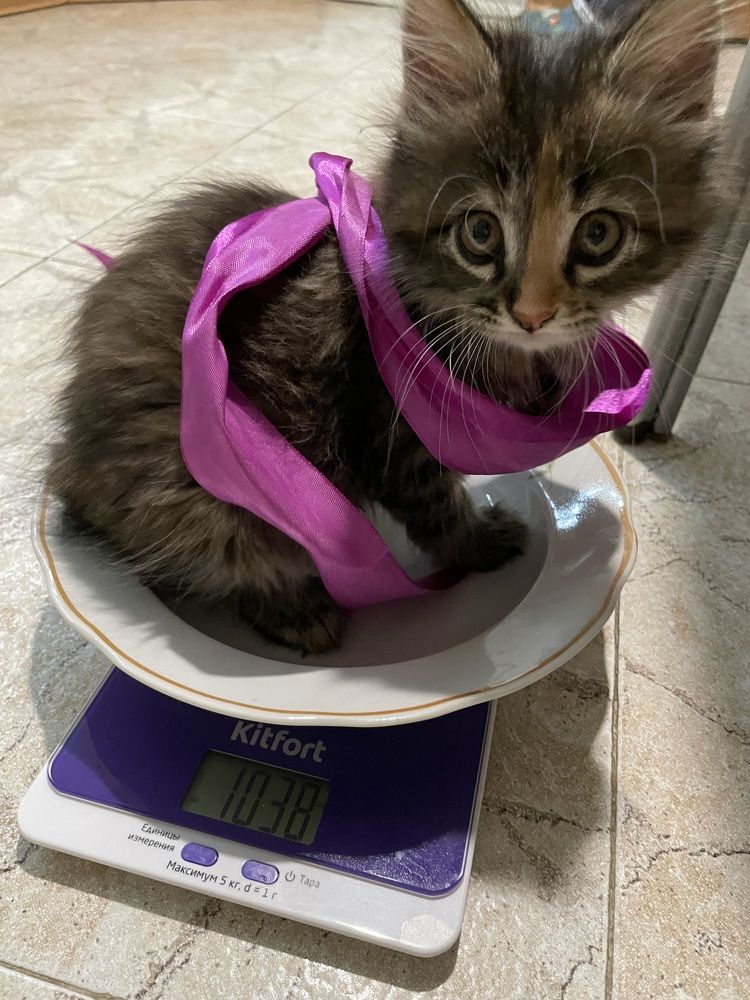 Photograph by Марина Белянских