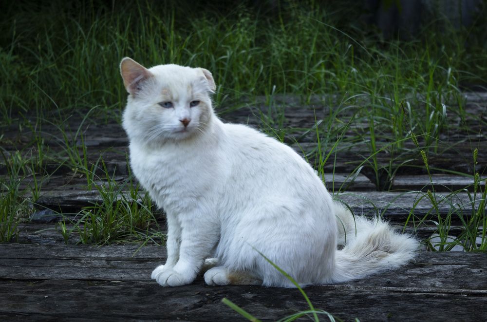 Photograph by Alexandra Chalova