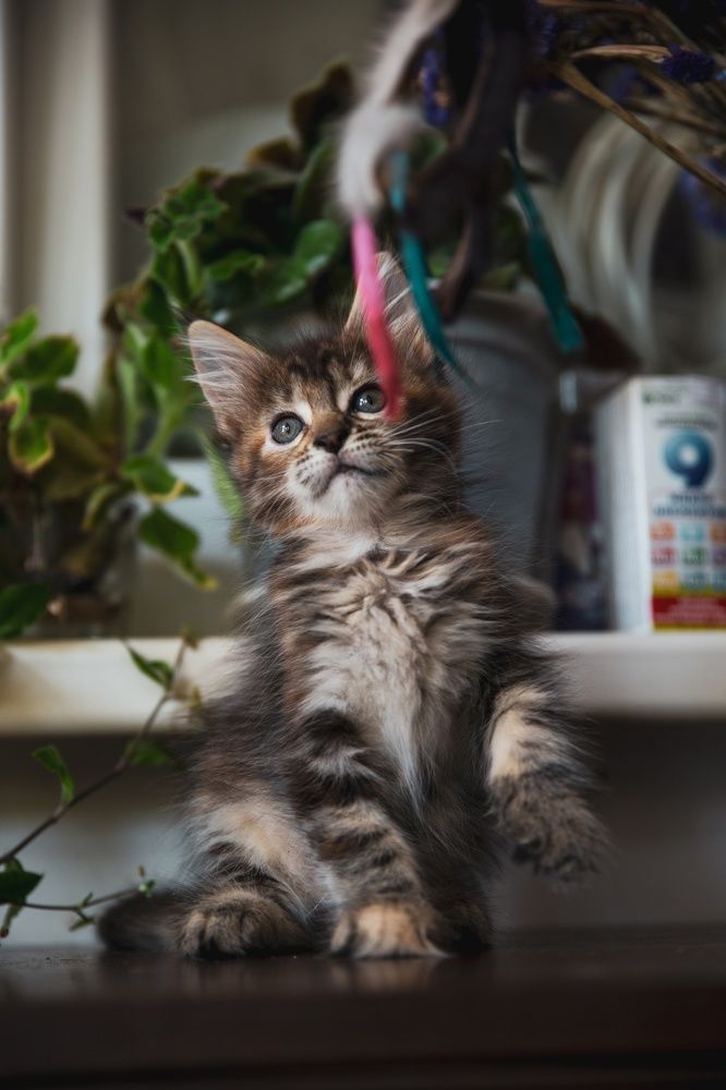 Photograph by Марина Данилова