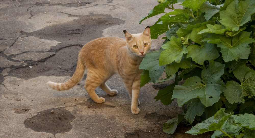 Photograph by Alexandra Chalova