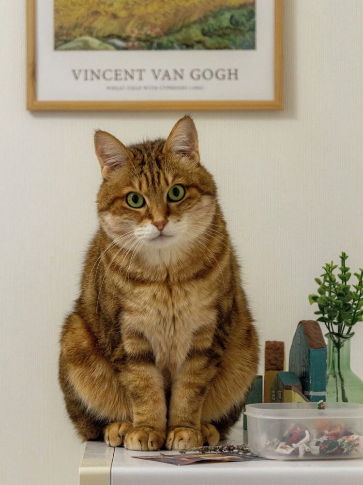 Photograph by Штунь Татьяна