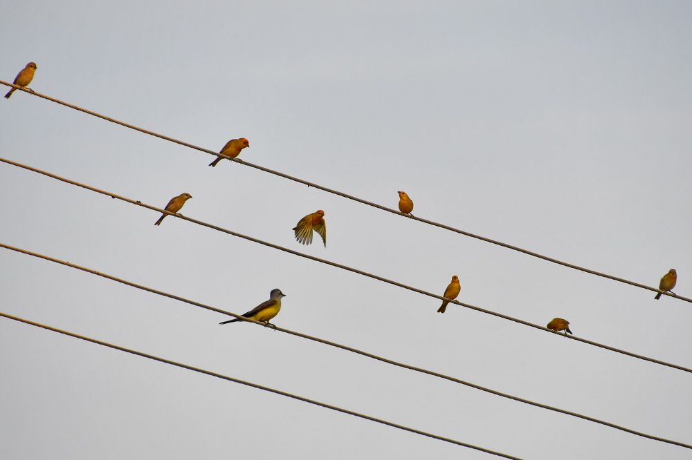 Photograph by Marzio Fattorini