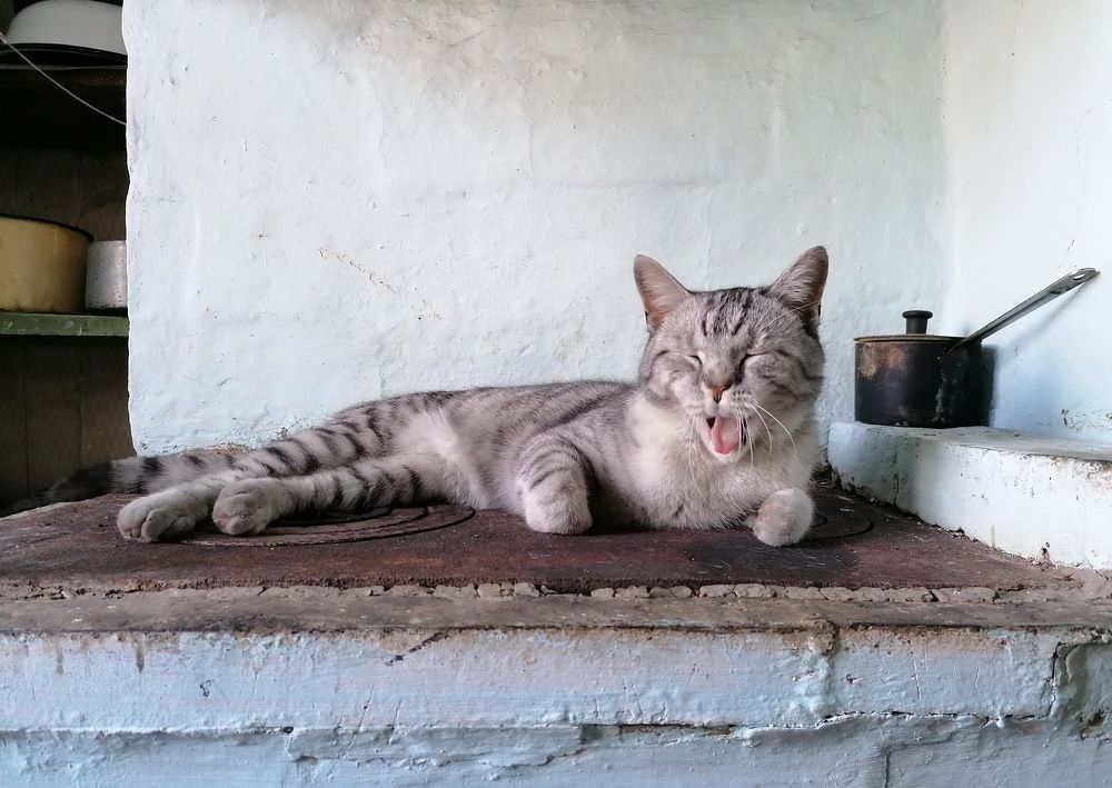 Photograph by Владимир Сафронов