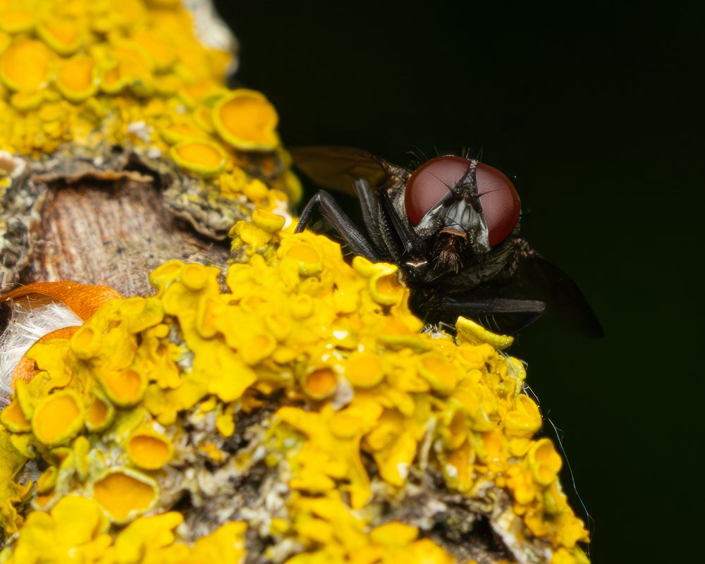 Photograph by Alexander Pakhomov