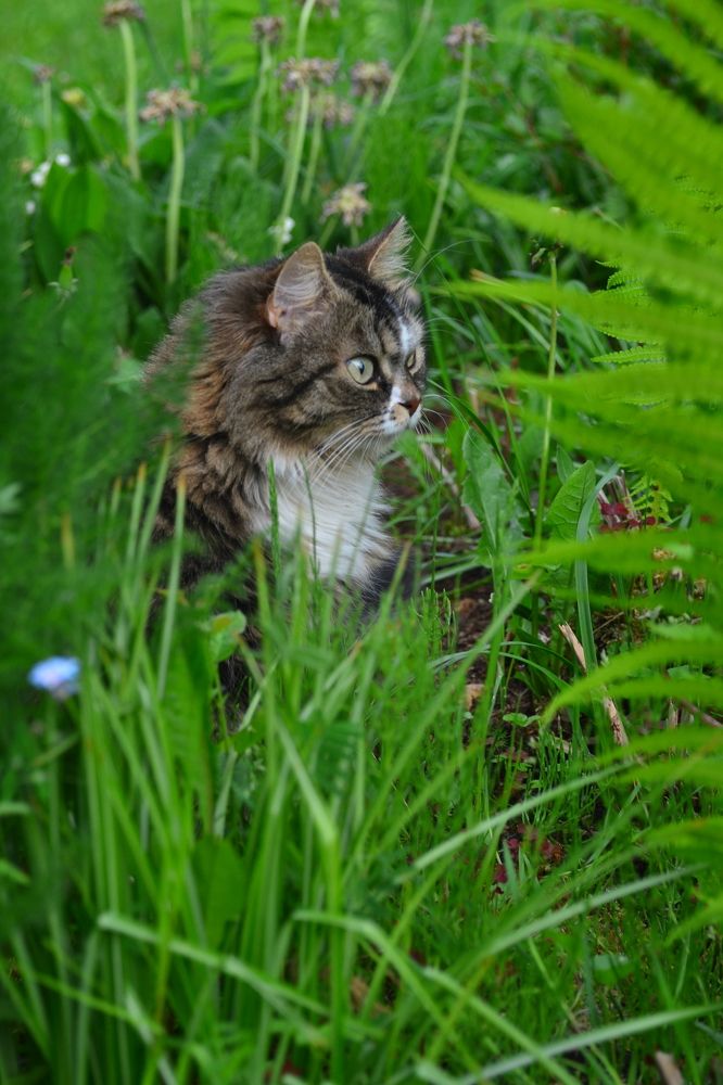 Photograph by Олеся Кузнецова