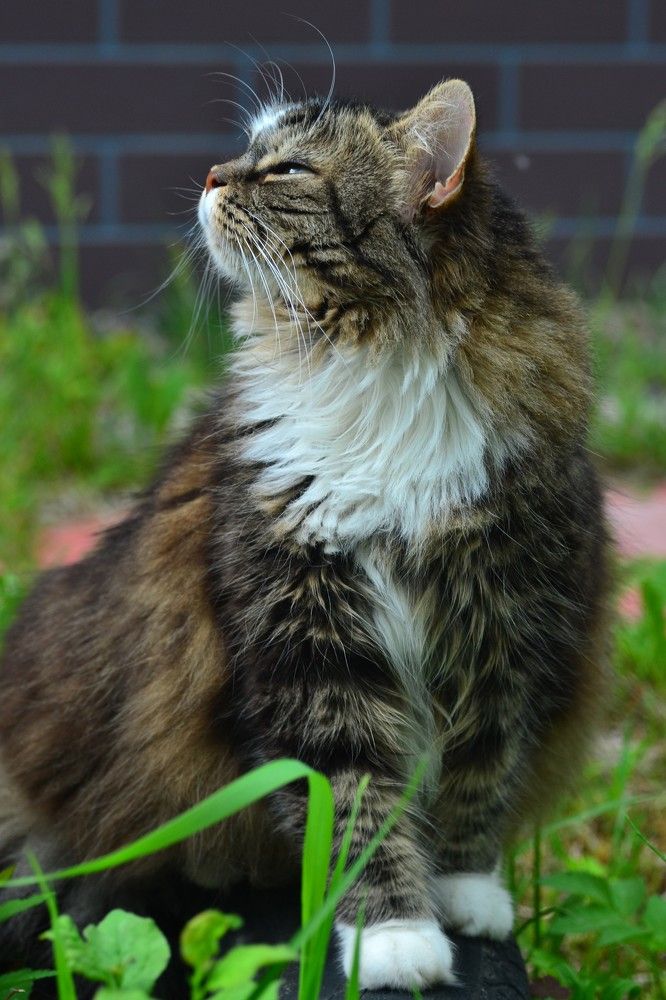 Photograph by Олеся Кузнецова