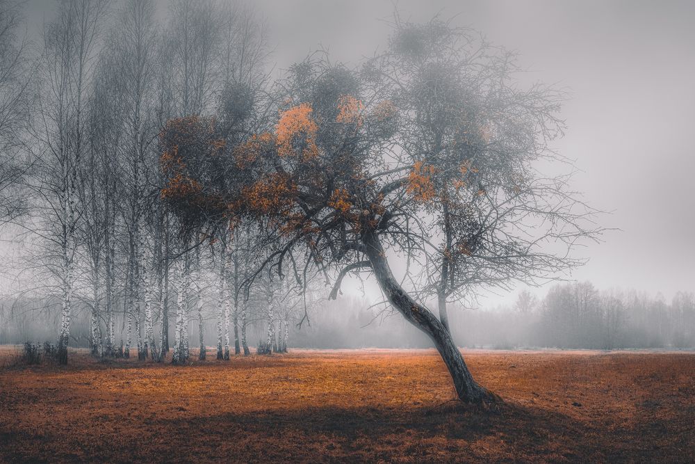 Photograph by Budyta Dariusz