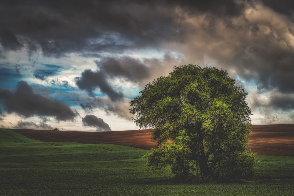 Photograph by Budyta Dariusz