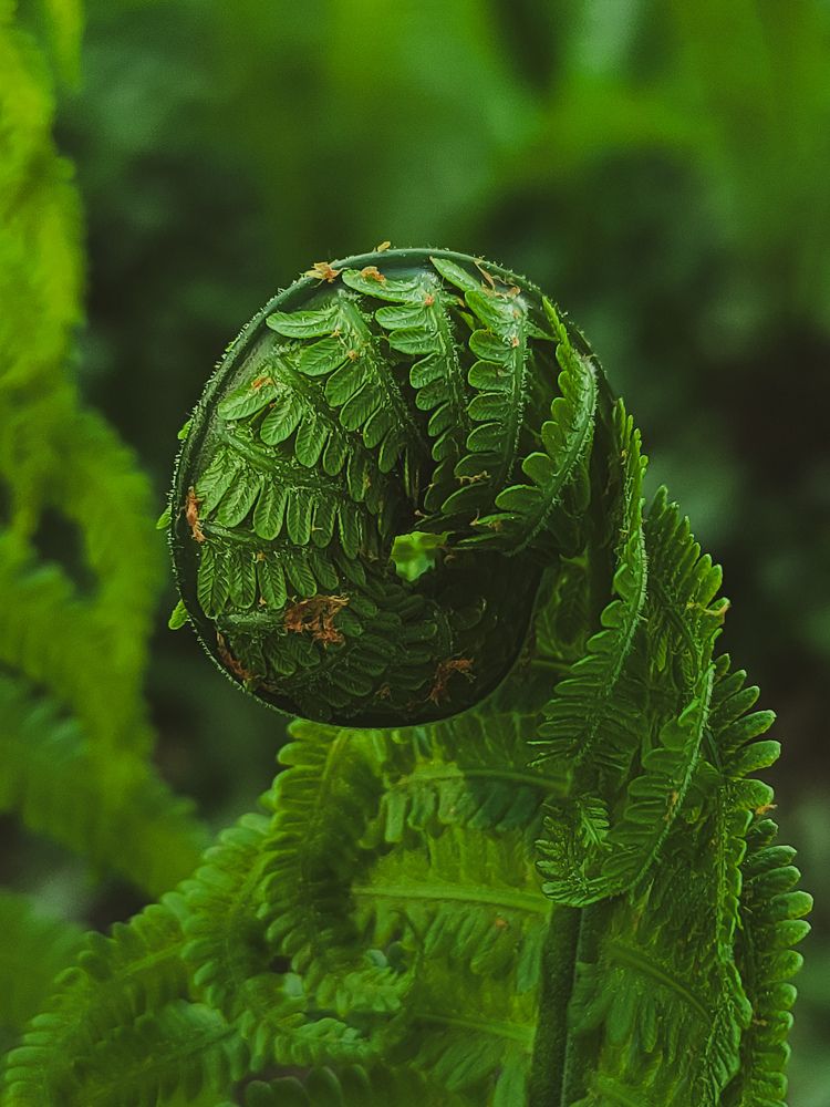 Фотография автора Олеся Непомнящих