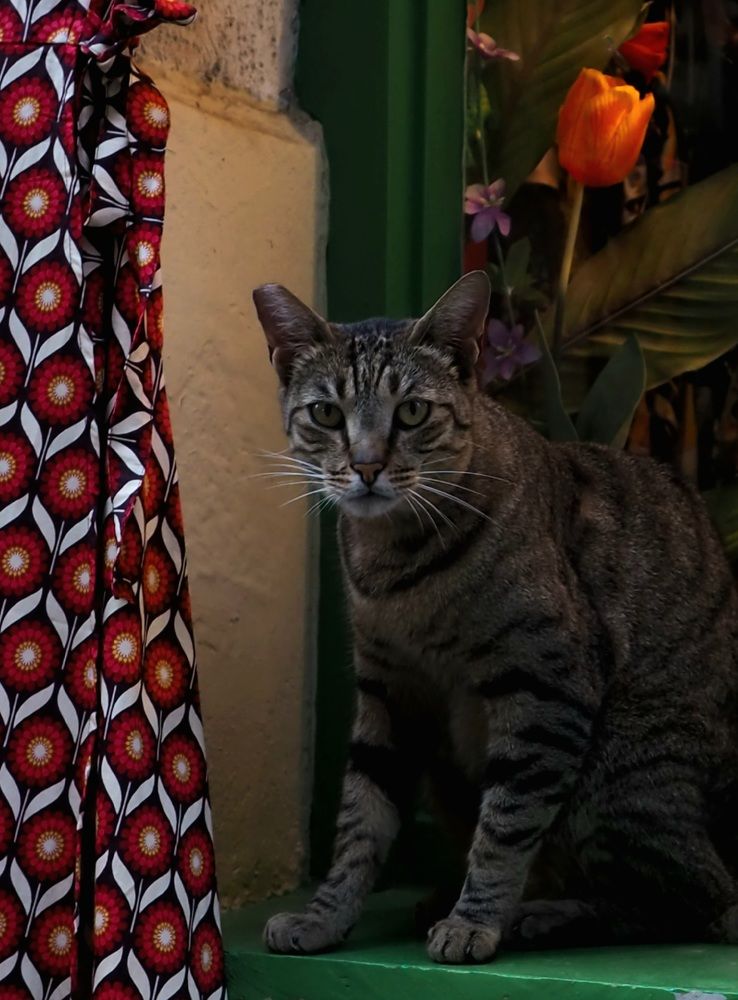 Photograph by Irina Ebral