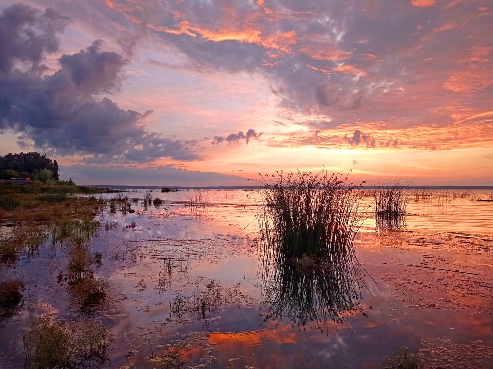 Фотография автора Кухта Мария