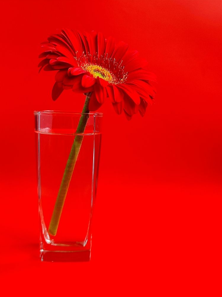 Photograph by Лолита Богачева