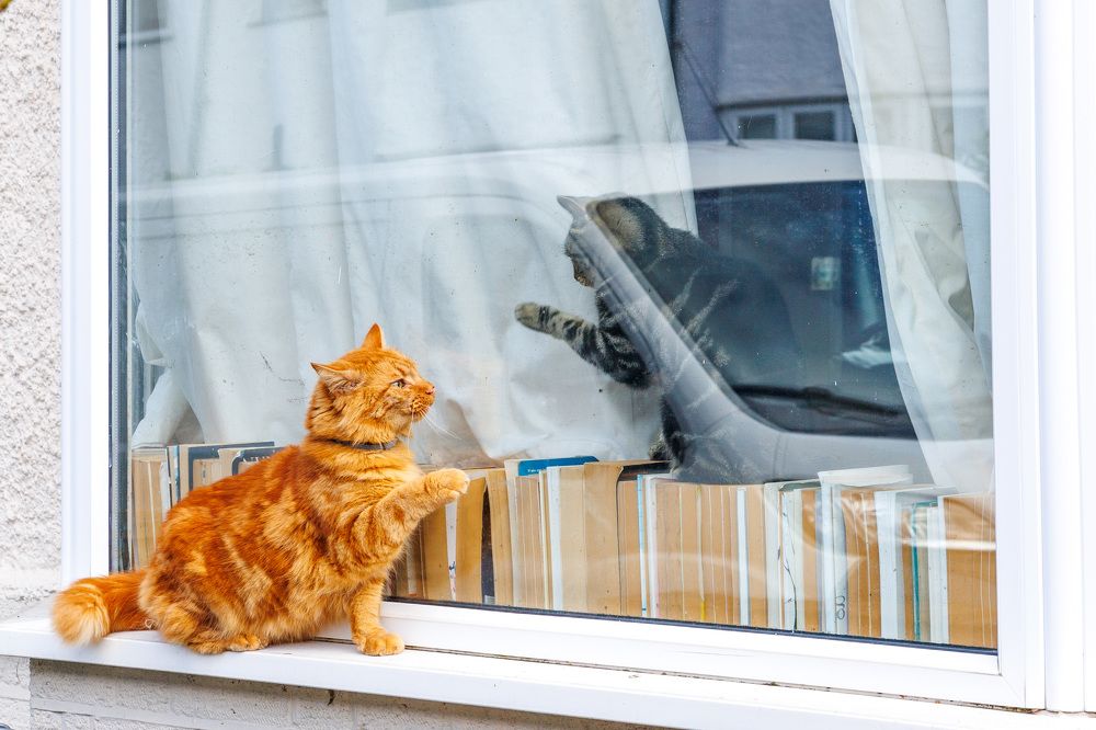 Photograph by Людмила Аксенова