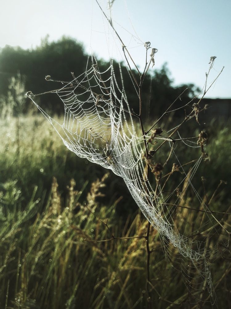 Photograph by Марина Мальцева