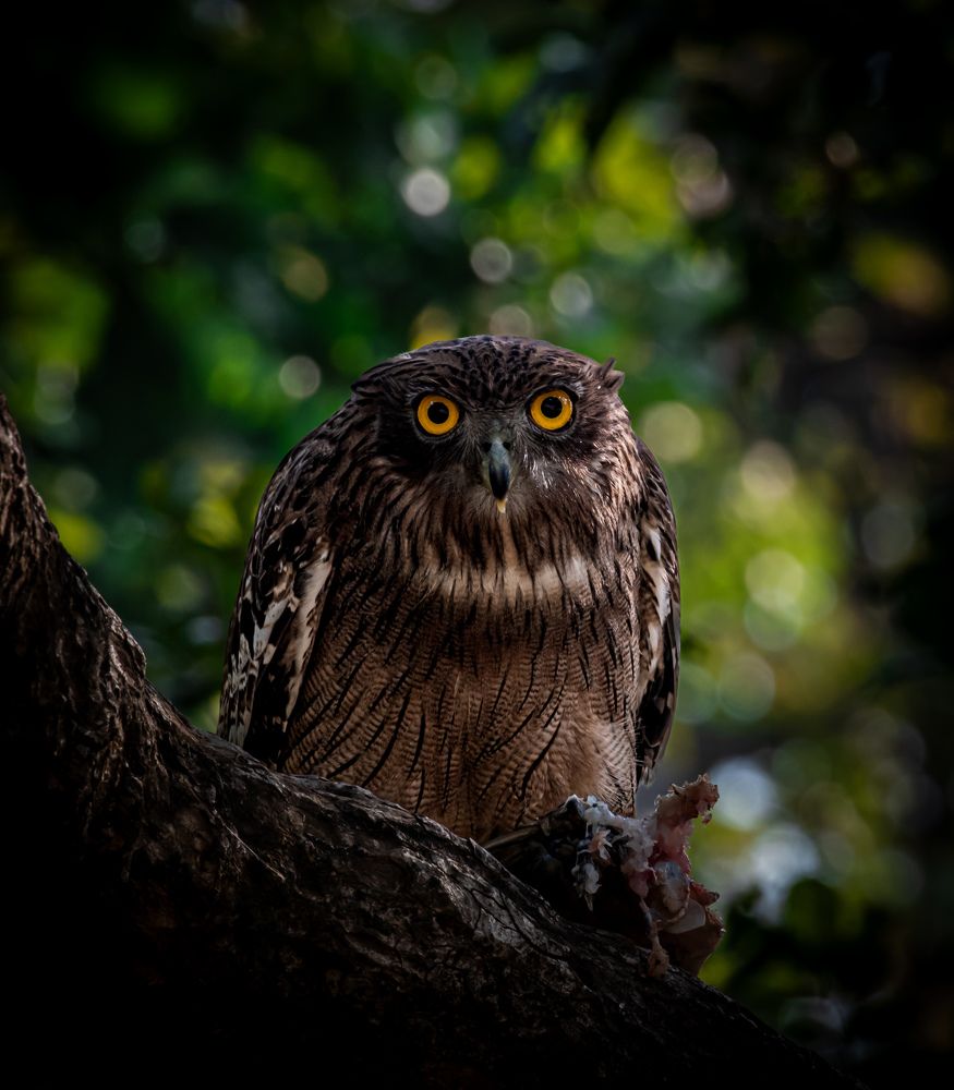 Photograph by Deepesh bhavsar