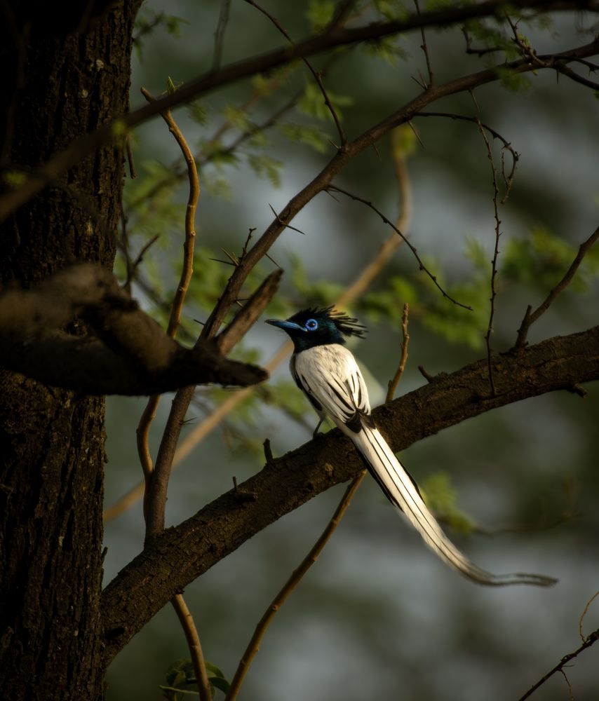 Photograph by Deepesh bhavsar