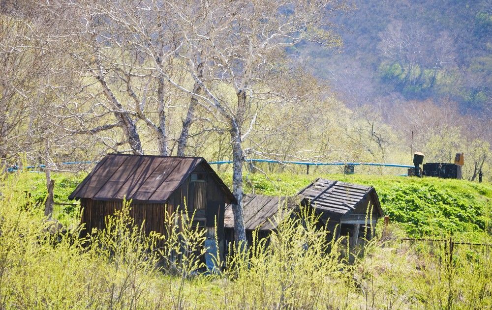 Photograph by Ения Семина