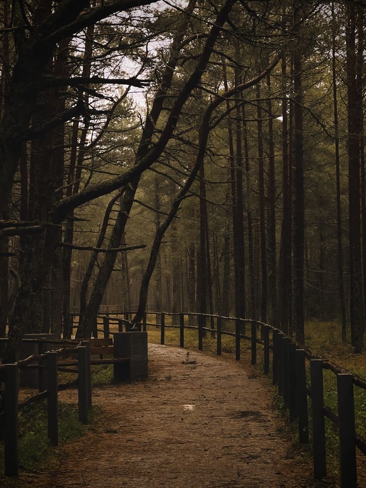 Photograph by Виктория Дворецкая