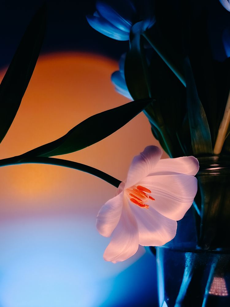 Photograph by Виктория Дворецкая