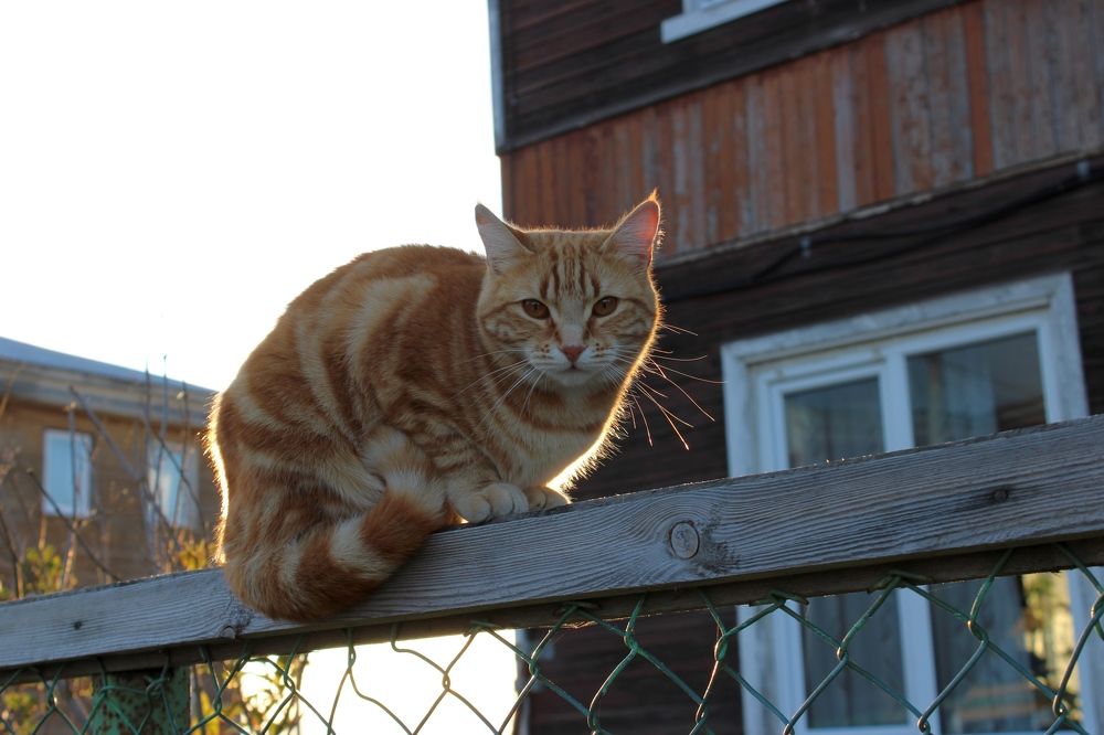 Photograph by Olga Bagaeva