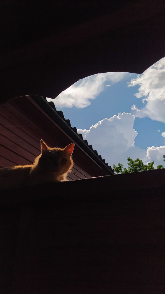 Photograph by Виталий Грачёв