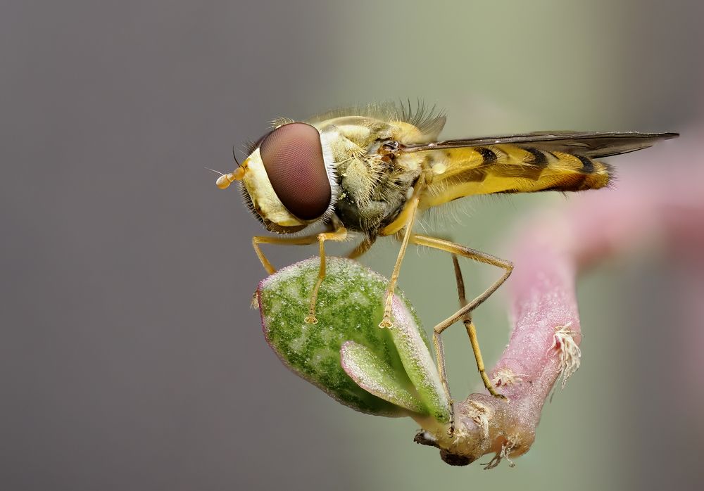 Photograph by RAJESH MAHAJAN