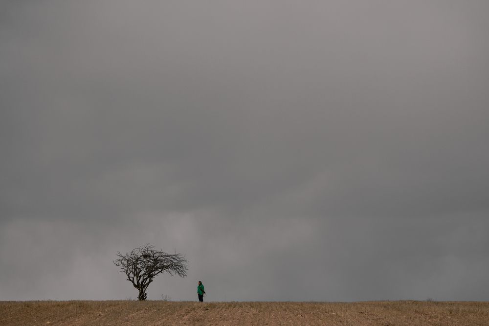 Photograph by Vida Shams