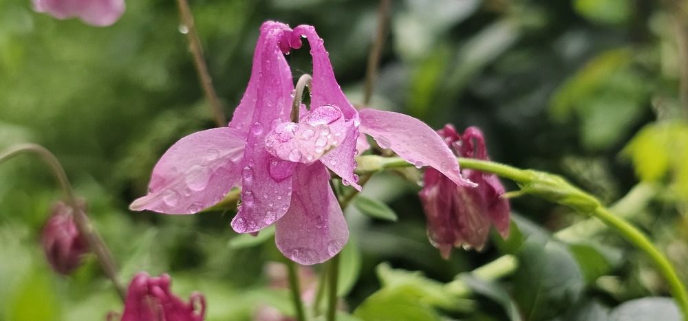 Photograph by mikhail goryachev