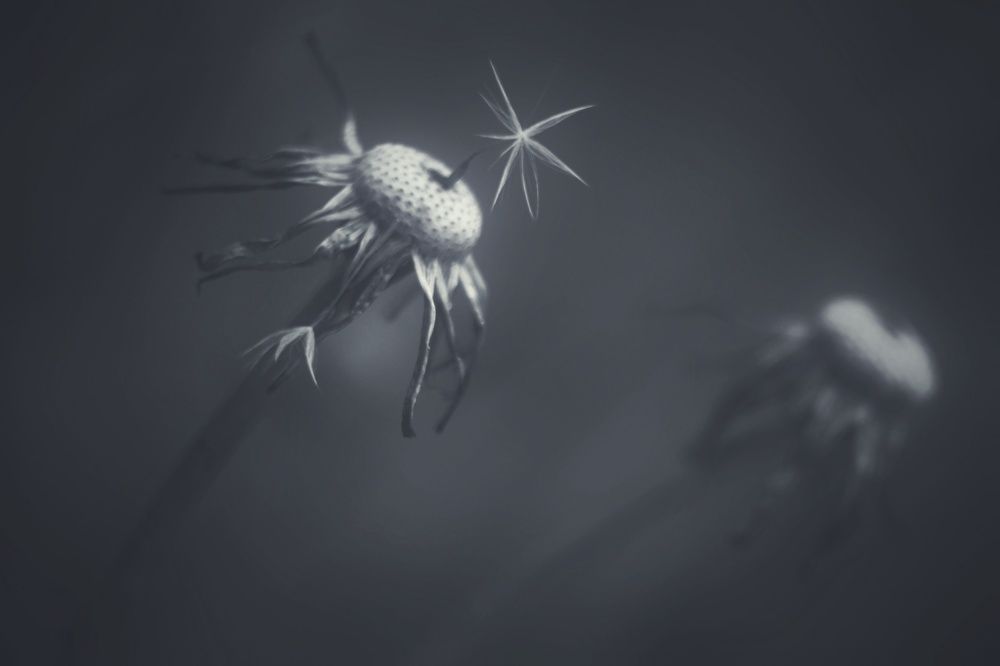 Photograph by Инна Карасева