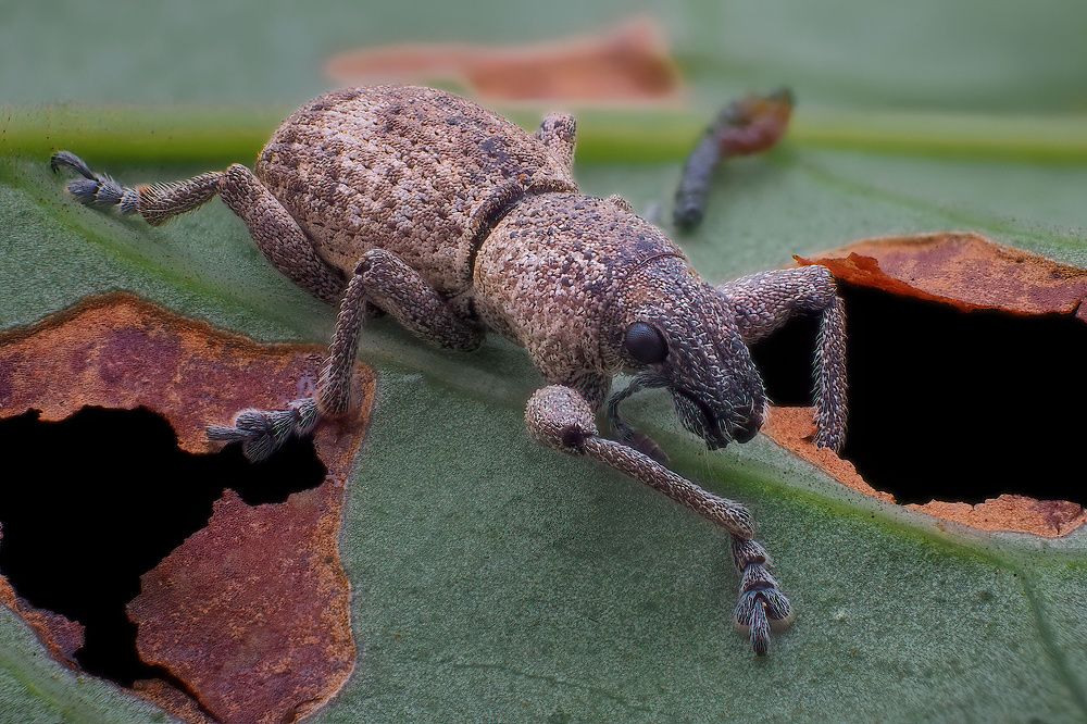 Photograph by Li Chen-You