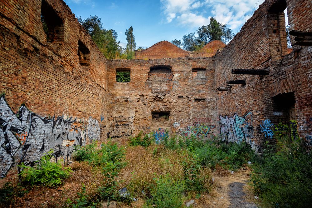 Photograph by EKATERINA WALTER