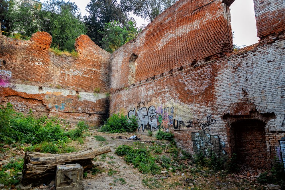 Photograph by EKATERINA WALTER