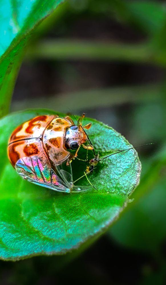 Photograph by Оксана Сафина