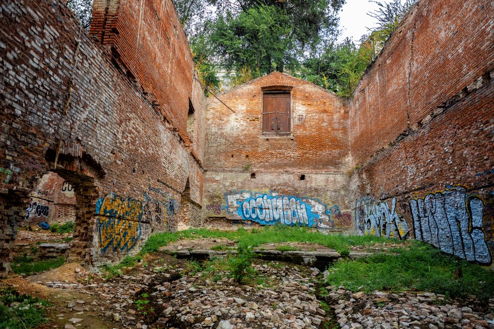 Photograph by EKATERINA WALTER