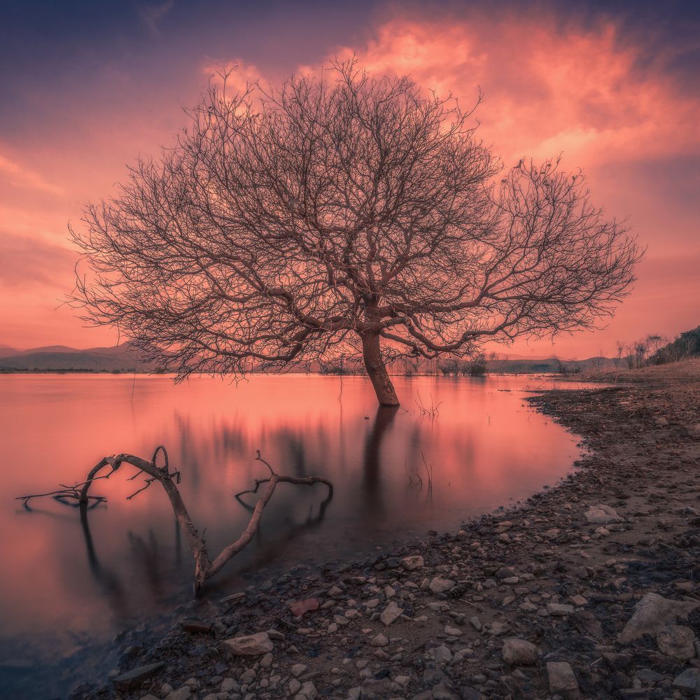 Photograph by Trieu Nguyen