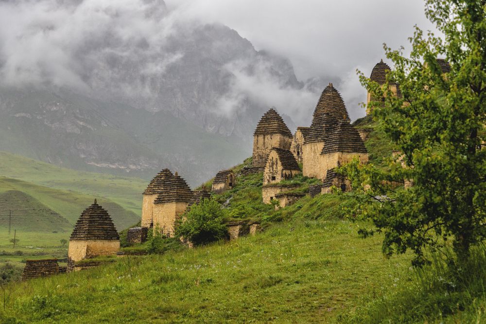 Photograph by EKATERINA WALTER