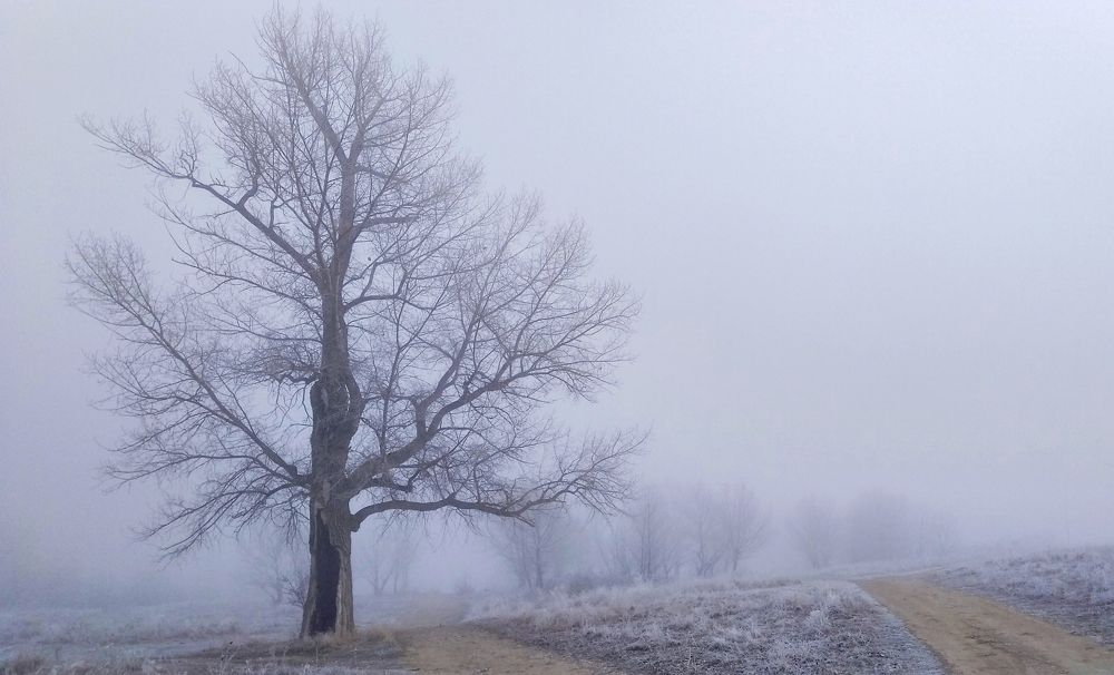 Photograph by Савчук Сергей