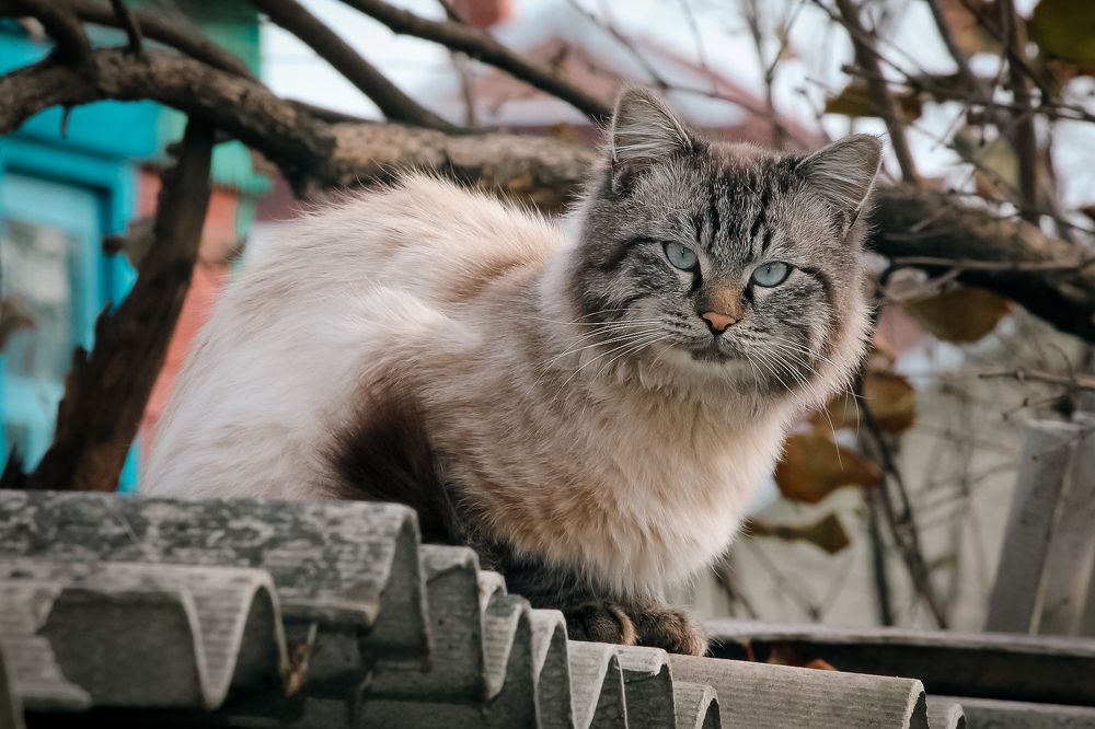 Photograph by Андрей Худзиев