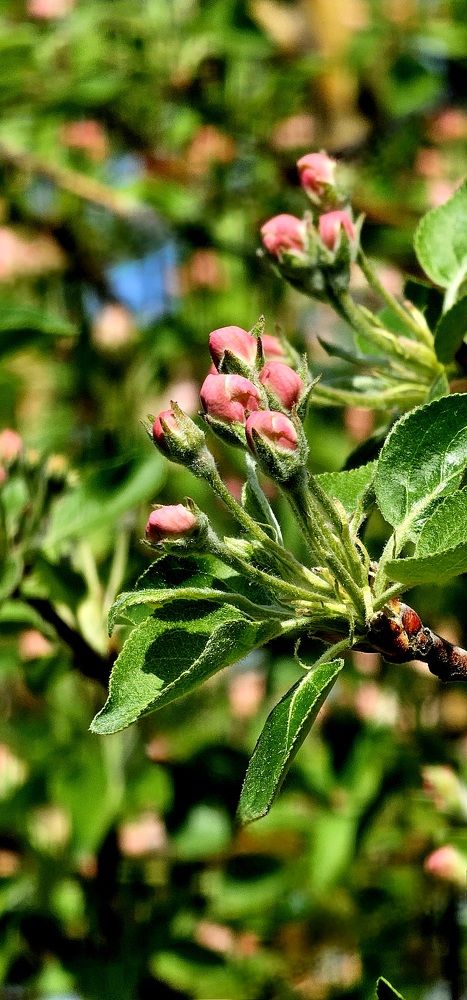 Photograph by Татьяна Биргулиева