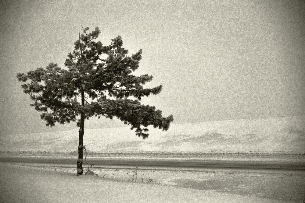 Photograph by Владимир Лосман