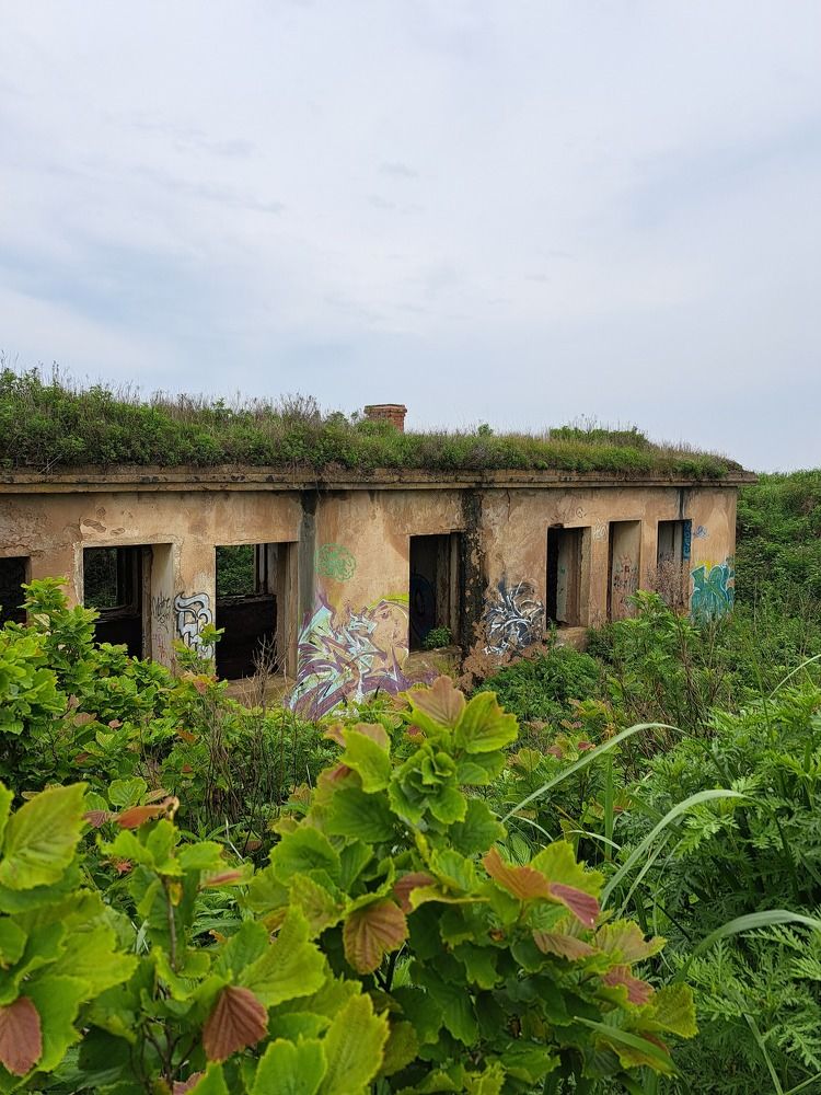 Photograph by Оксана Юдина