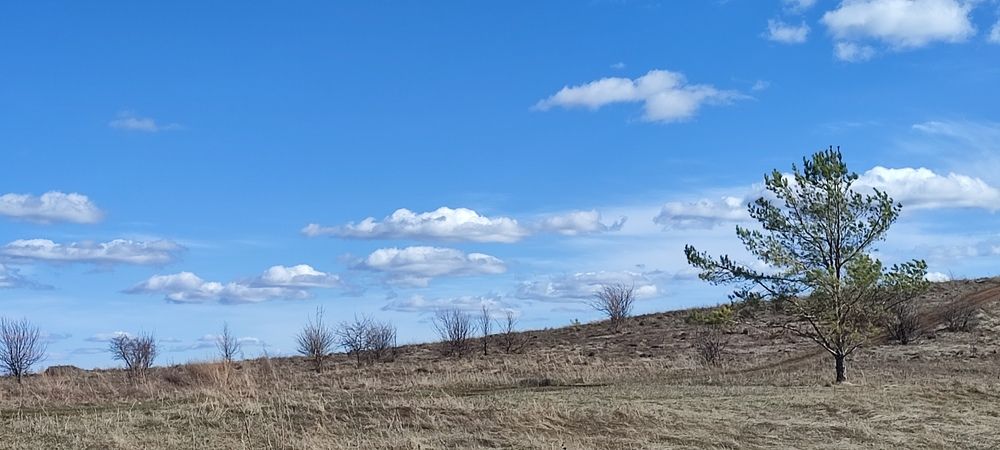 Photograph by Светлана Батурова