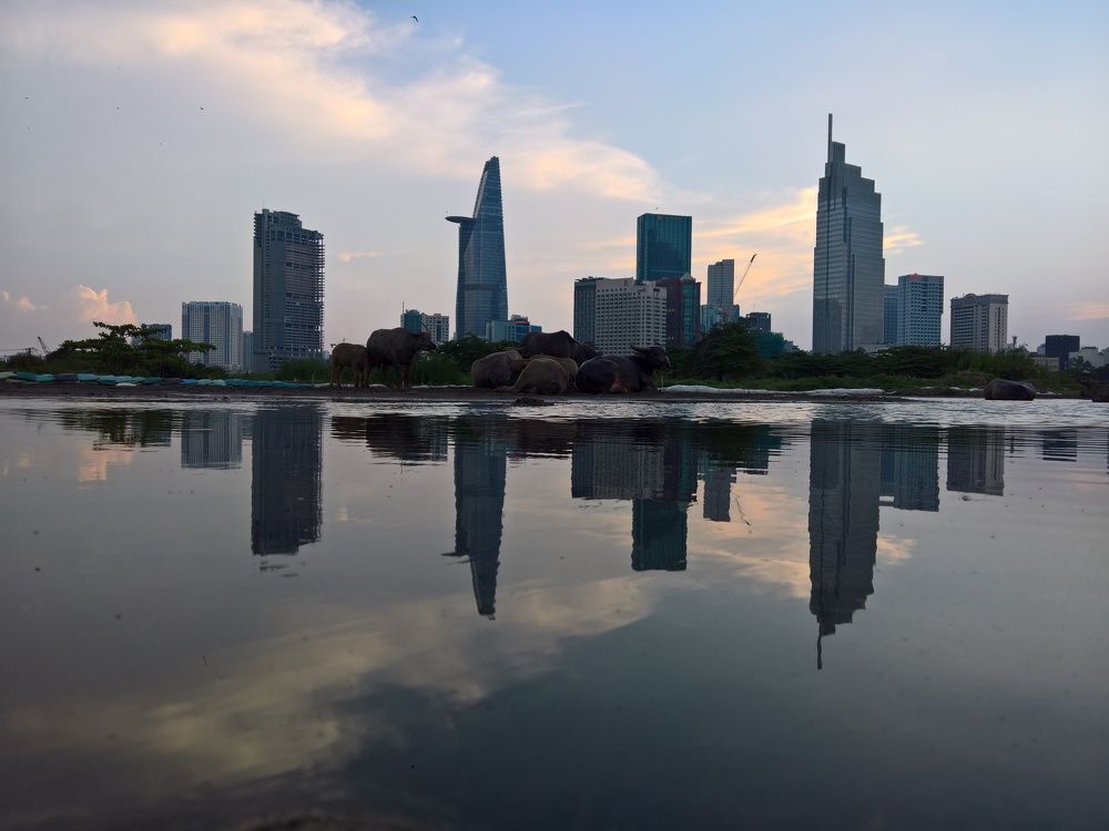 Фотография автора QUANG THOI HUA