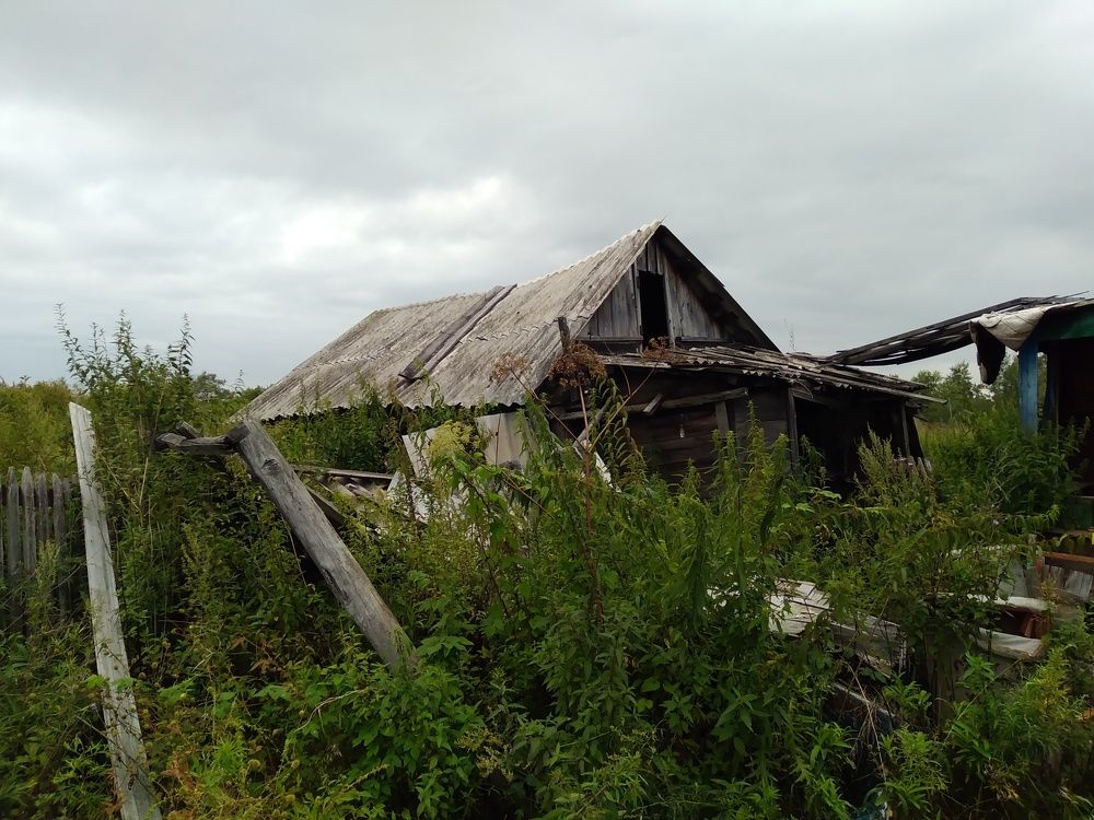 Photo #10707400