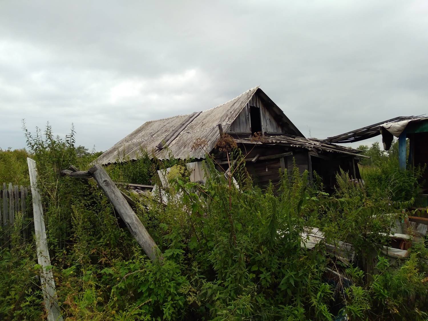 Photo #10707400