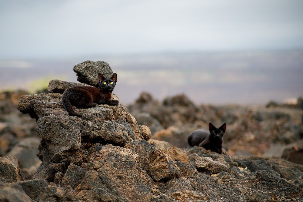 Photograph by Daria Osipova